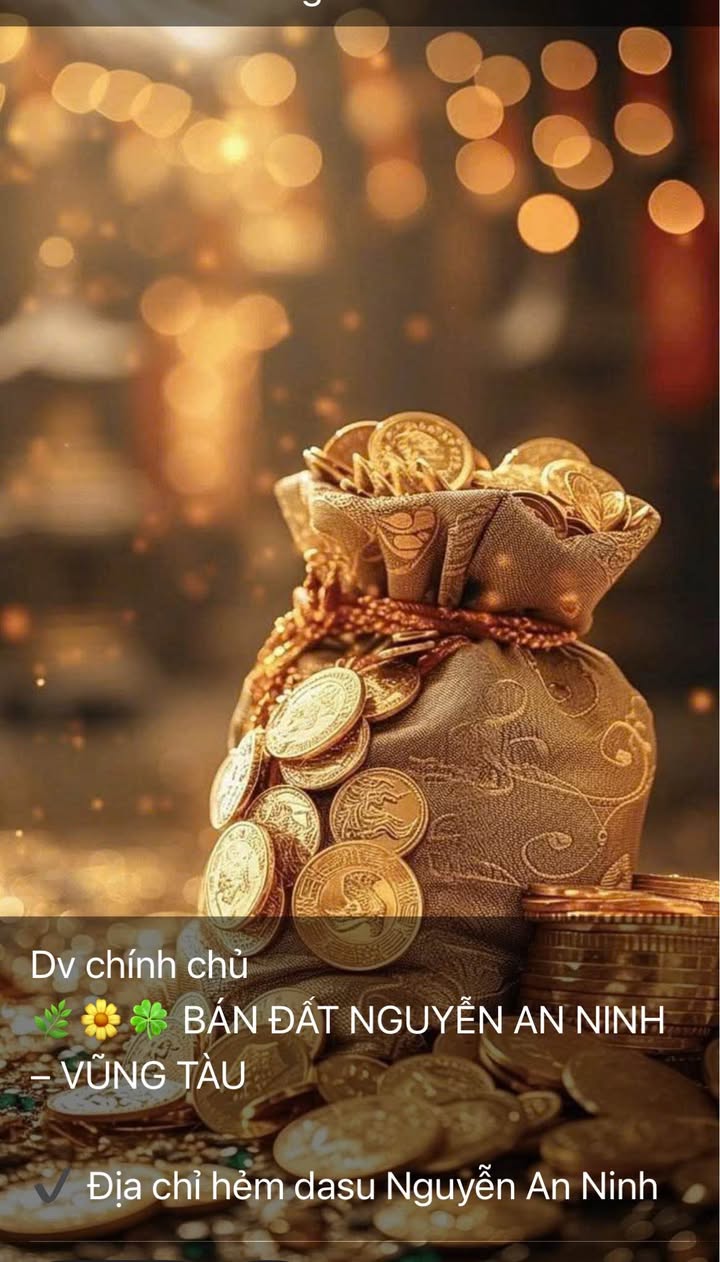 Đất mặt tiền Nơ Trang Long, P.Rạch Dừa, 145m² giá 11 tỷ - Cơ hội đầu tư tuyệt vời!