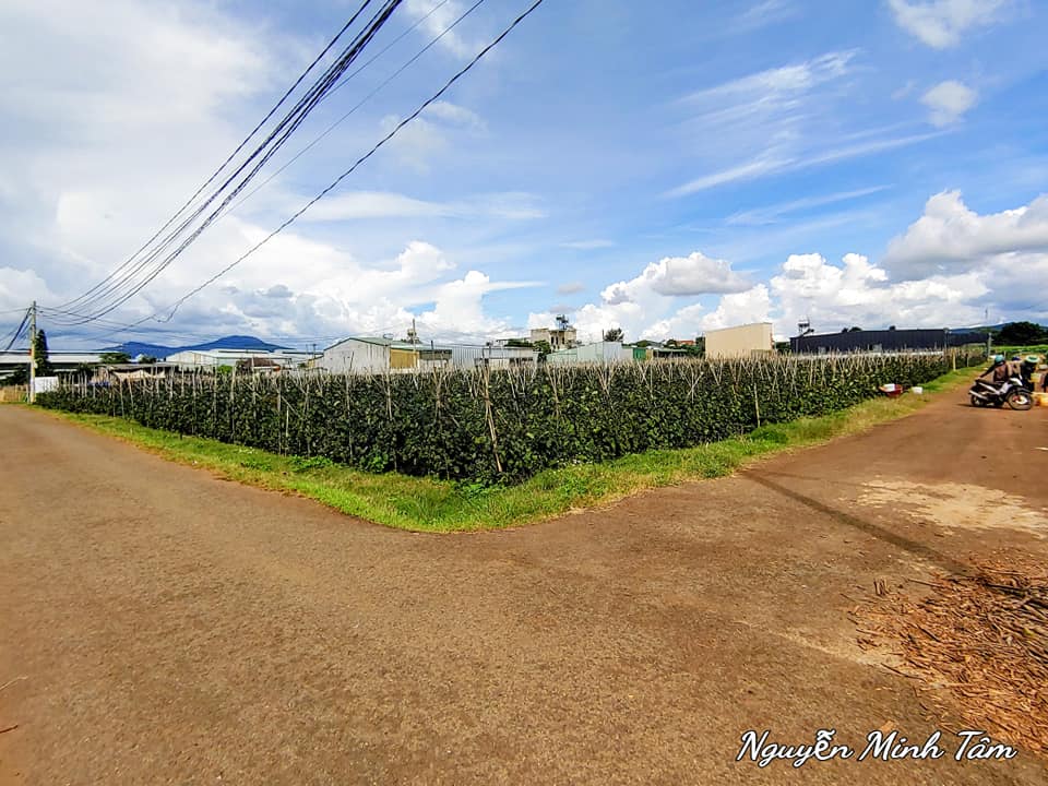 Đất Hẻm Lê Hồng Phong, Tân Hội, Đức Trọng 150m² giá 2.5 tỷ - Vị trí đẹp, tiện ích xung quanh