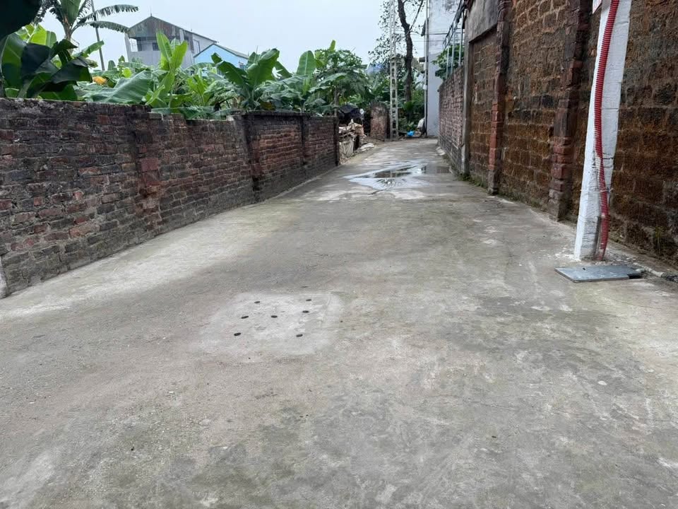 Đất nền Thôn My Thượng, Xã Thanh Mai, Huyện Thanh Oai 64m² - Giá cực hấp dẫn chỉ 4x triệu/m²!