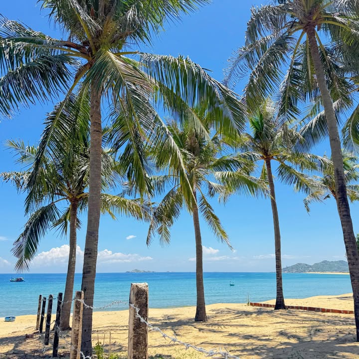 Farm đất vườn Xuân Thạnh 1000m² - Gần biển, giá thỏa thuận!