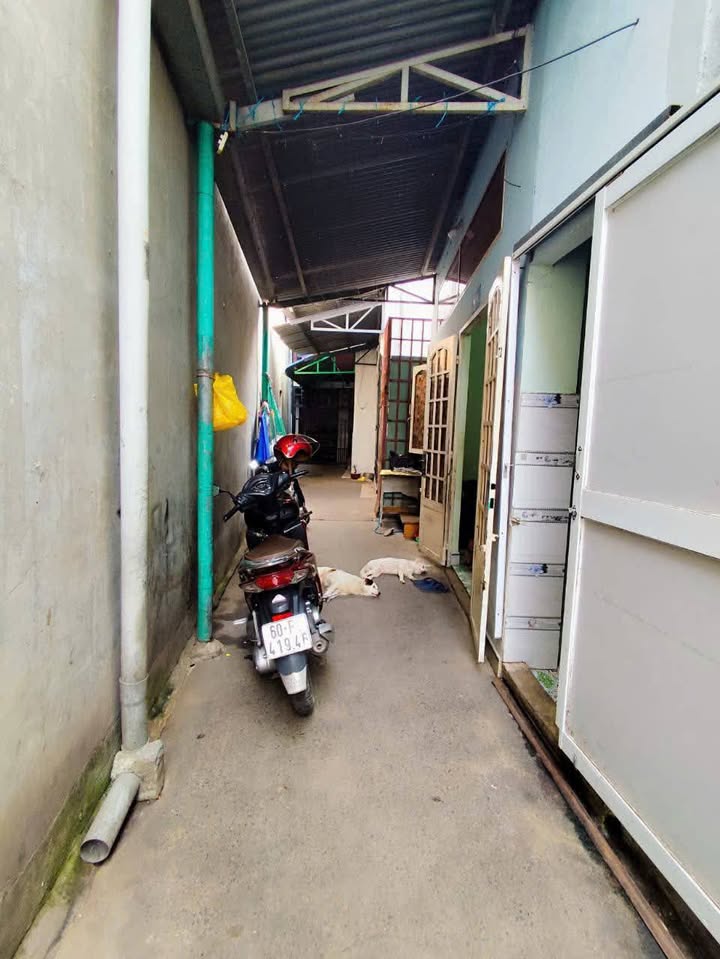 Nhà phường Tam Hiệp, Biên Hòa 55m² giá chỉ 1.2 tỷ - Sổ hồng chính chủ!