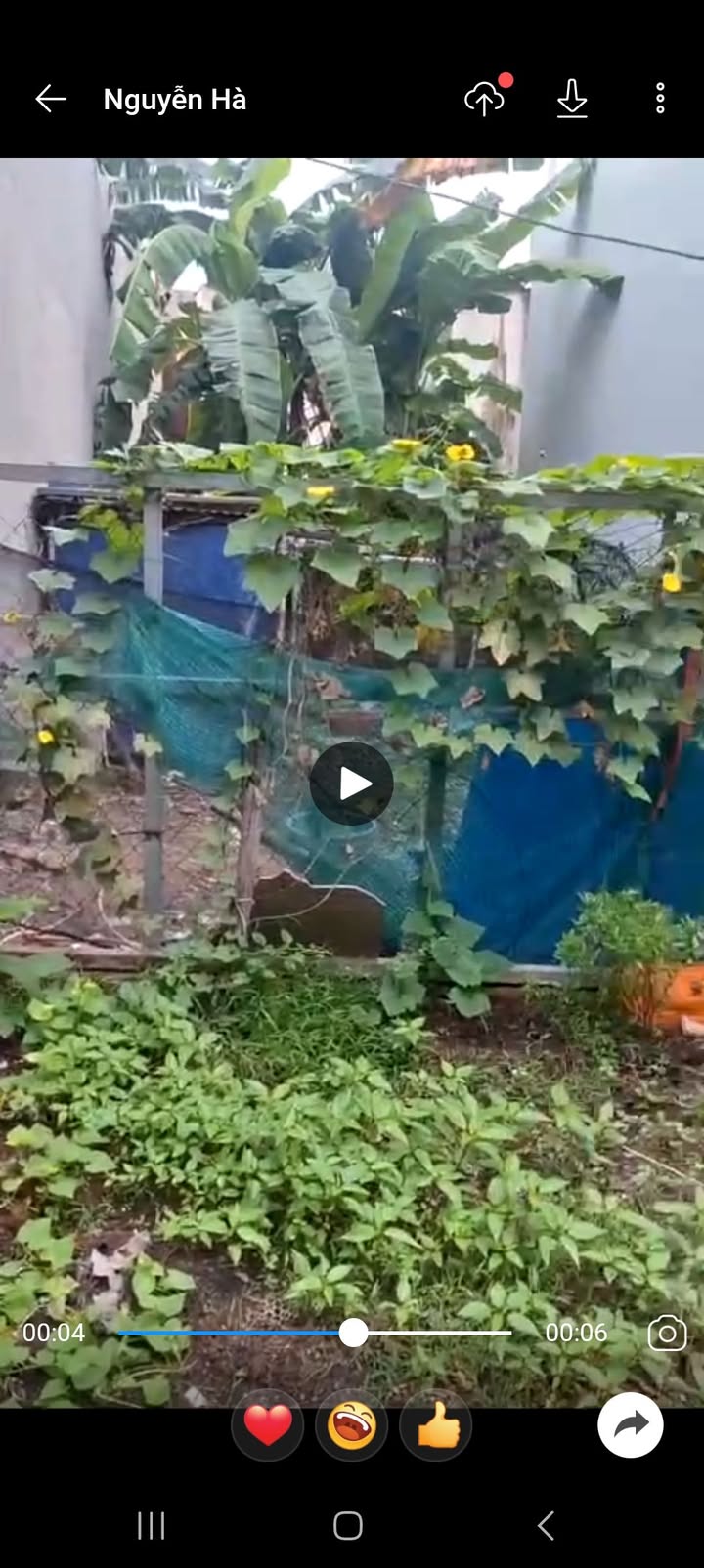 Đất nền khu phố 1, phường Long Bình, Biên Hòa 70m² - Giá chỉ 600 triệu, thương lượng tốt!