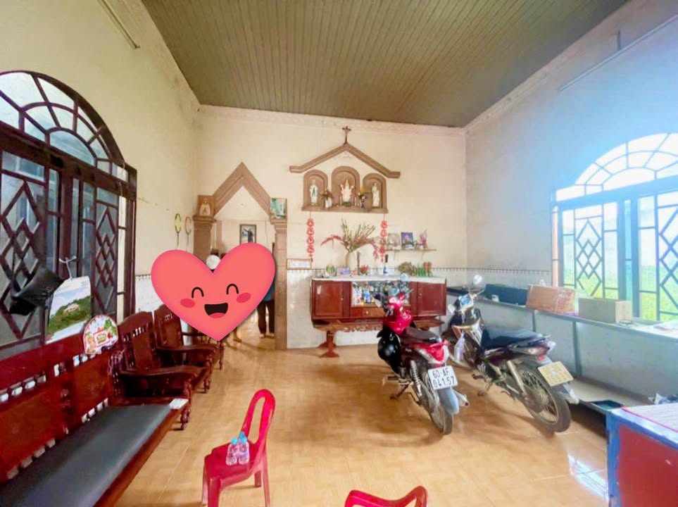 Nhà bán mặt tiền TL 765, Xuân Đông, Cẩm Mỹ, 317m² - Vị trí đẹp tiềm năng!