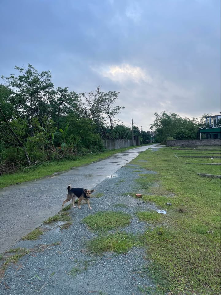 Đất nền chính chủ Vinh Tân 100m² - Giá hấp dẫn, thuận tiện đầu tư!