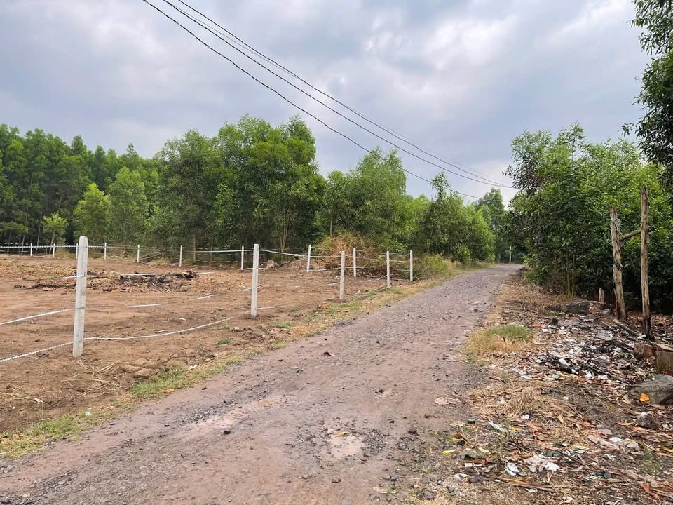 Đất nền xã Long Phước, Long Thành 985m² giá 5 tỷ - Đầu tư sinh lời nhanh!