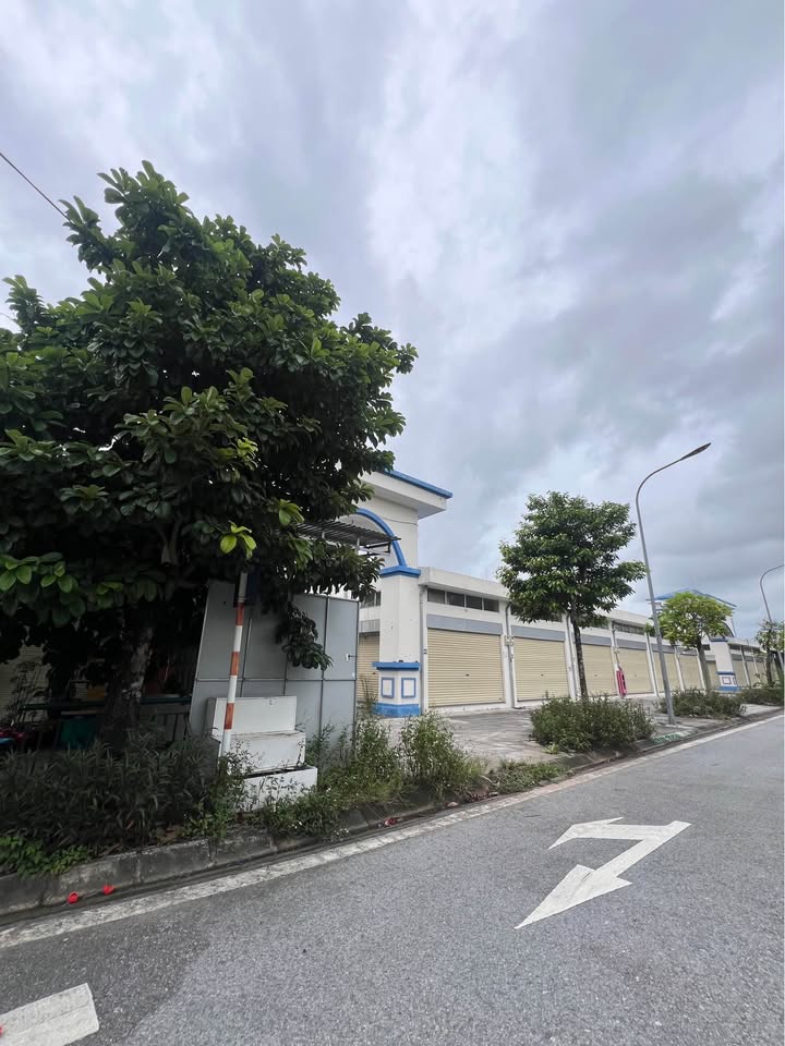 Đất dự án Vĩnh Trụ Lý Nhân 90m² - Giá đầu tư hấp dẫn!