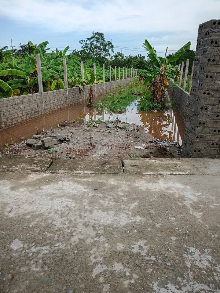 Đất thổ cư Sài Sơn, Quốc Oai 258m² giá 53.97 tỷ - Đầu tư sinh lời cao!