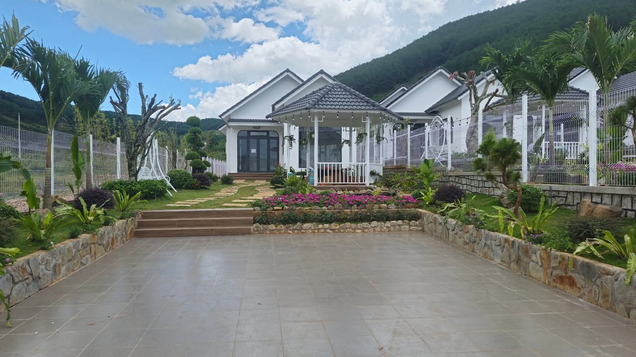 Nhà sân vườn hiện đại tại Nam Ban, Lâm Hà 493m² giá 3.5 tỷ - View đẹp, không gian sống lý tưởng!