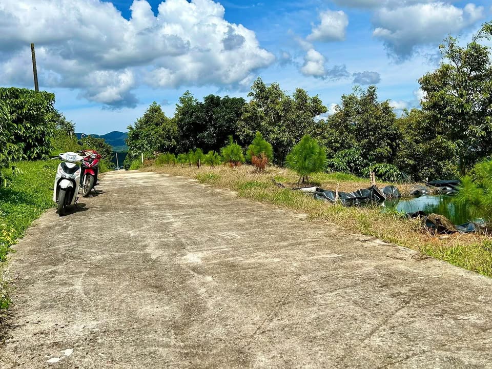 Đất nền Phan Huy Ích, Bảo Lộc 1258m² giá 1.5 tỷ - View thành phố tuyệt đẹp!