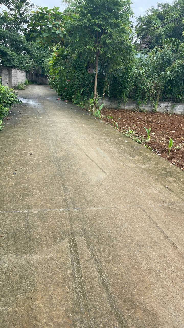 Đất thổ cư 1800m² tại Ba Trại, Ba Vì - Giá chỉ 5.4 tỷ