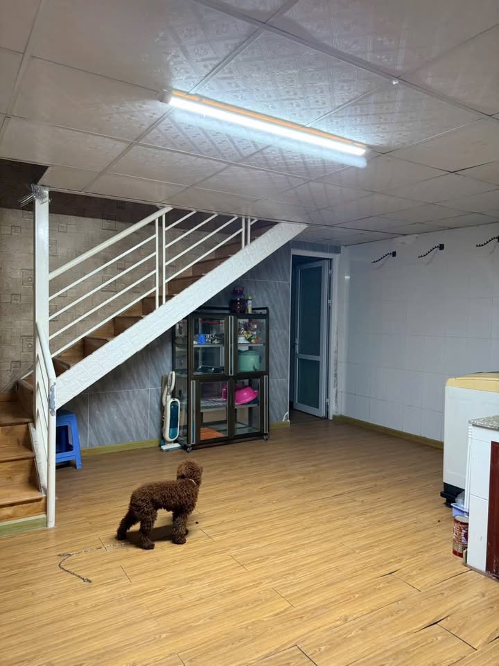 Nhà cho thuê Đường Ngô Thỳ Sỹ Đà Lạt 2PN giá 5.5 triệu - Không gian sống lý tưởng!