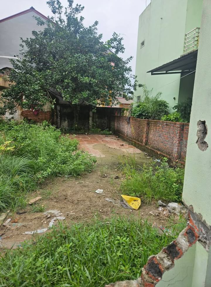 Đất Thượng Thôn Đông Tiến 70m² giá 1 tỷ - Sổ đỏ chính chủ sẵn sàng giao dịch!