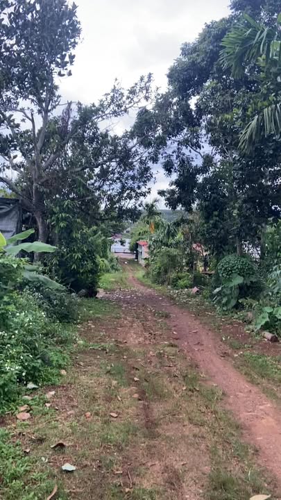 Đất thổ cư 360m² tại Krông Năng - View đập Đông Hồ triệu đô, giá 5.13 tỷ VND!