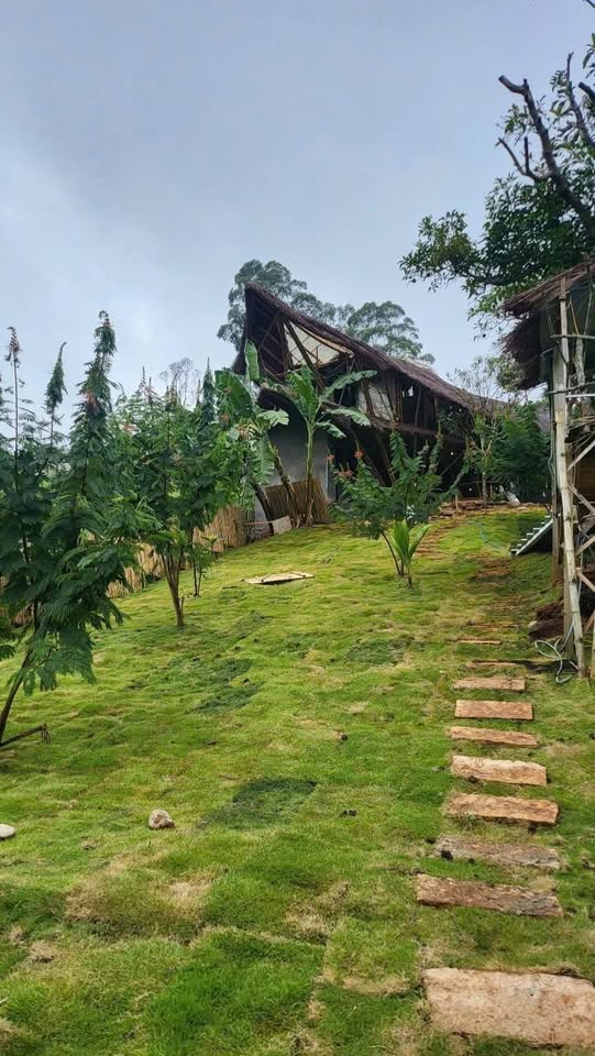 Bán gấp Homestay trung tâm Cầu Đất 438m² giá chỉ 4.5 tỷ - View đẹp