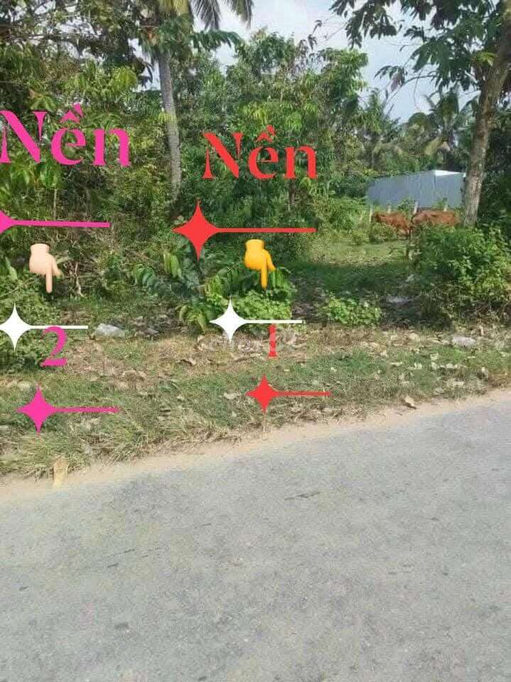 Bán đất mặt tiền đường Phú Hào, 718m² giá 3.3 tỷ - Đầu tư sinh lời ngay!