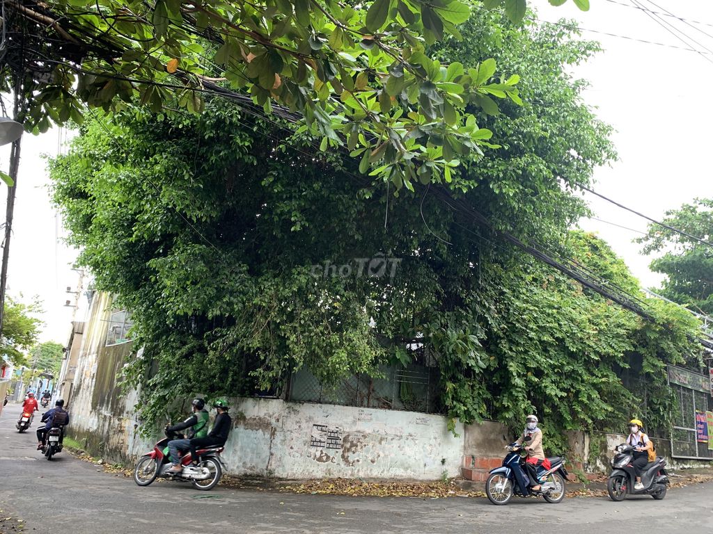 Nhà mặt tiền góc 2 mặt tiền đường số 8 – số 2, TNP B, TP. Thủ Đức 270m² giá 15 tỷ - Đầu tư sinh lời hiệu quả!