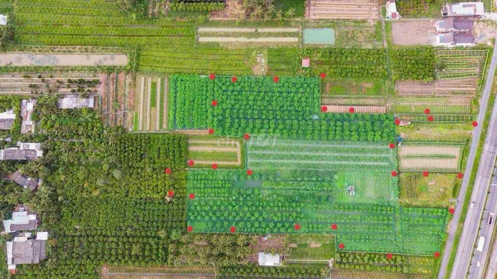 Cho thuê 22.000m² đất mặt tiền Quốc lộ 1A tại Vĩnh Long - Giá 110 triệu/tháng, vị trí siêu tiềm năng!