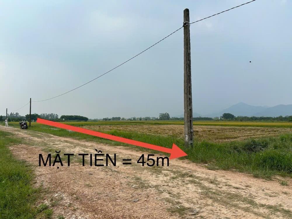 Đất ruộng Hiền Ninh 1642m² giá 1.35 tỷ - Lô góc, sát trục chính ô tô