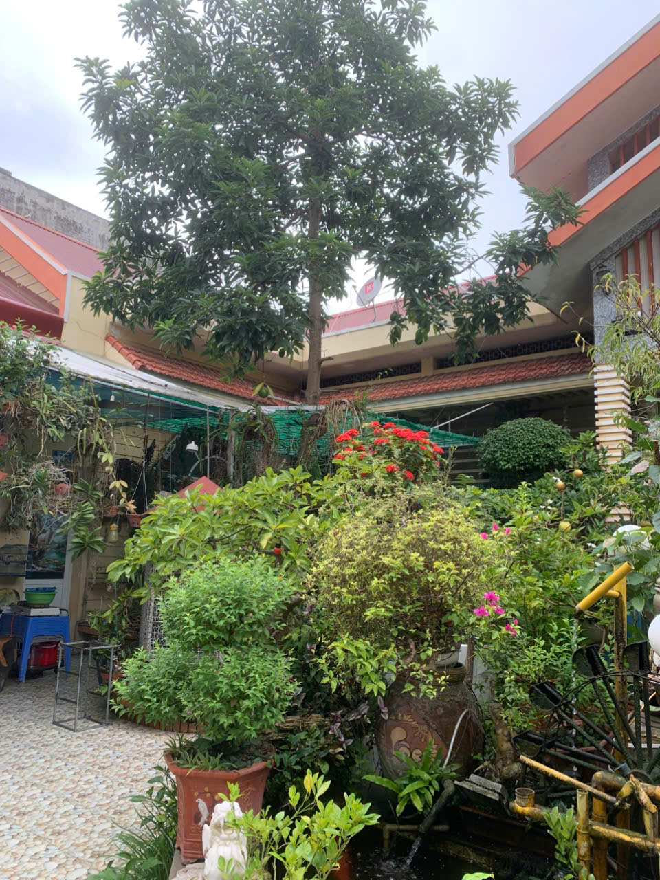 Đất cho thuê dài hạn 50 năm tại Sơn La - Diện tích 662m², khu vực sầm uất