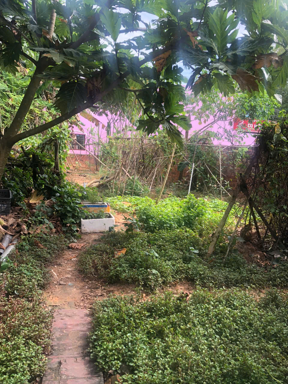 Nhà cho thuê nguyên căn mặt tiền đường Dương Đông - Phú Quốc, giá 4 triệu - Thích hợp kinh doanh!