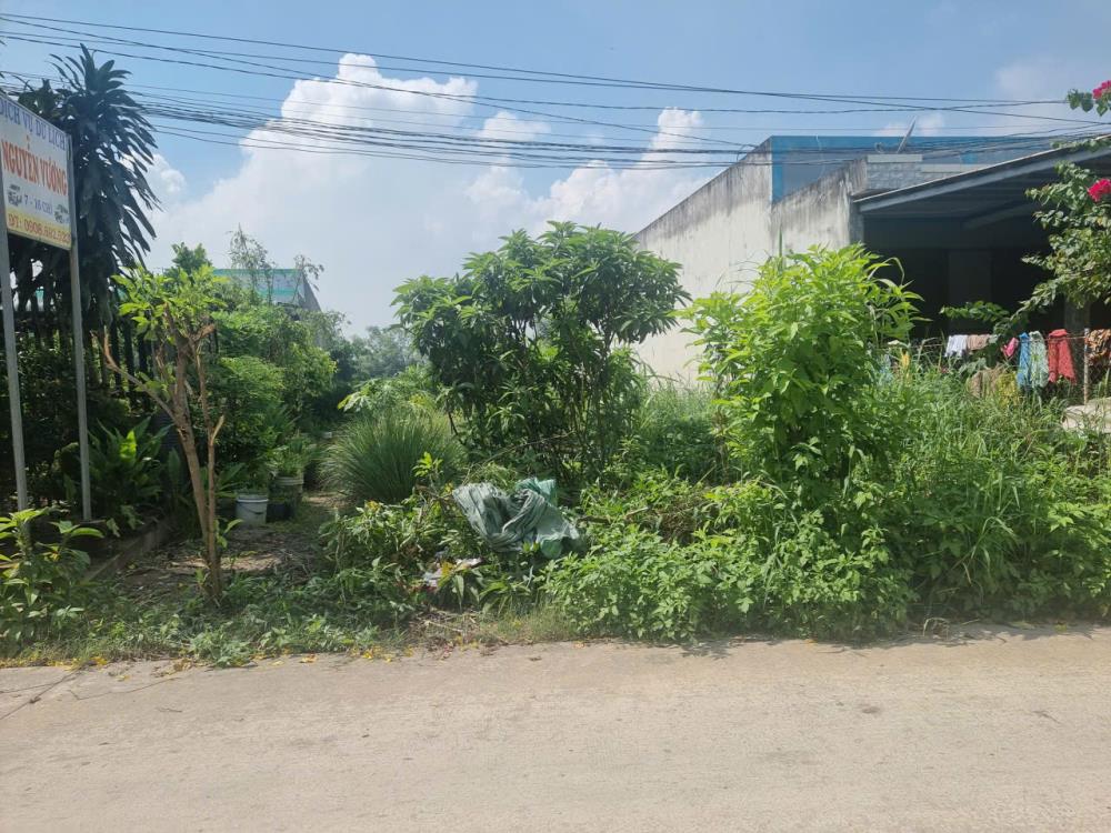 Đất mặt tiền bê tông 5x55m xã Đức Hòa Đông, giá 2.1 tỷ - Sổ hồng riêng, xây dựng tự do!