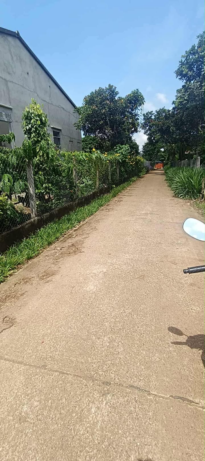 Đất nền 6x80m tại thôn 3 Tân Hòa, 8640m² giá chỉ 399 triệu - Đầu tư sinh lời ngay!