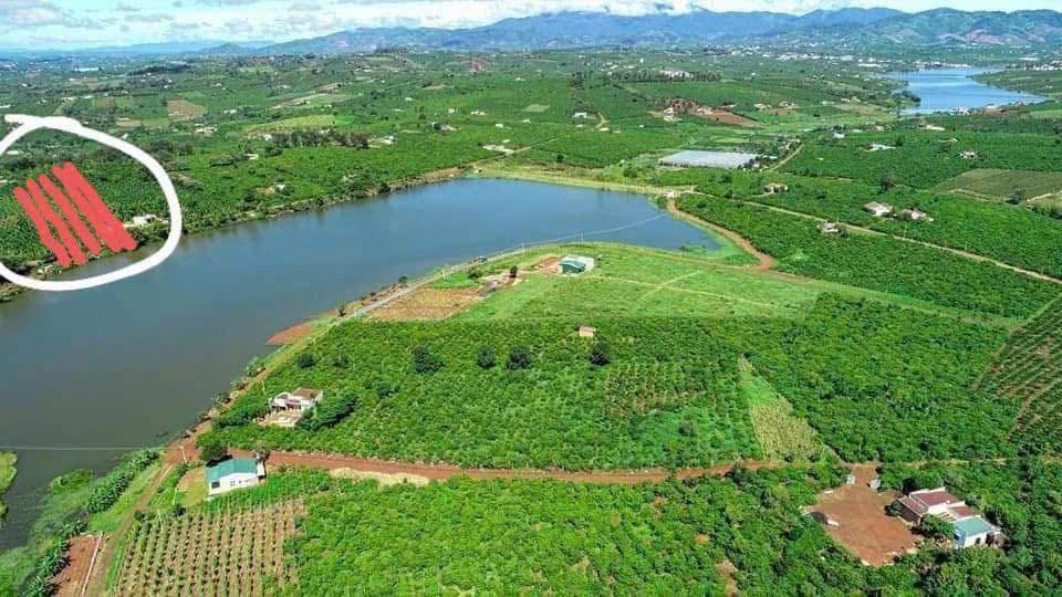 Đất nền Phúc Thọ 510m² giá 1.65 tỷ - Cơ hội đầu tư tuyệt vời!