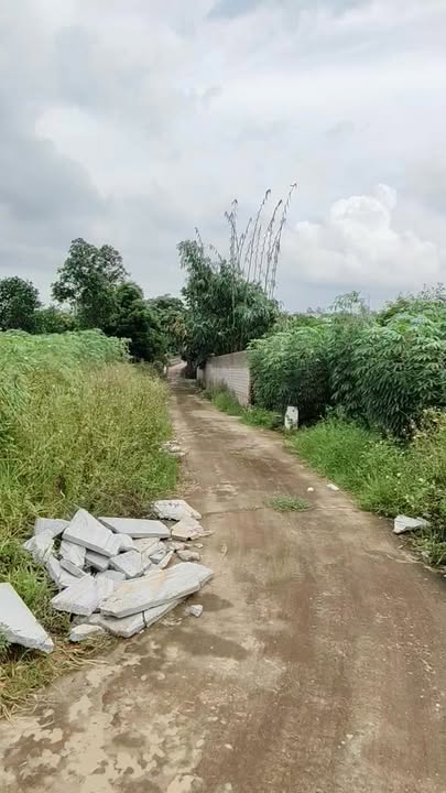 Đất thổ cư 1700m² tại Châu Phong, Quế Võ - Đầu tư sinh lời lý tưởng!