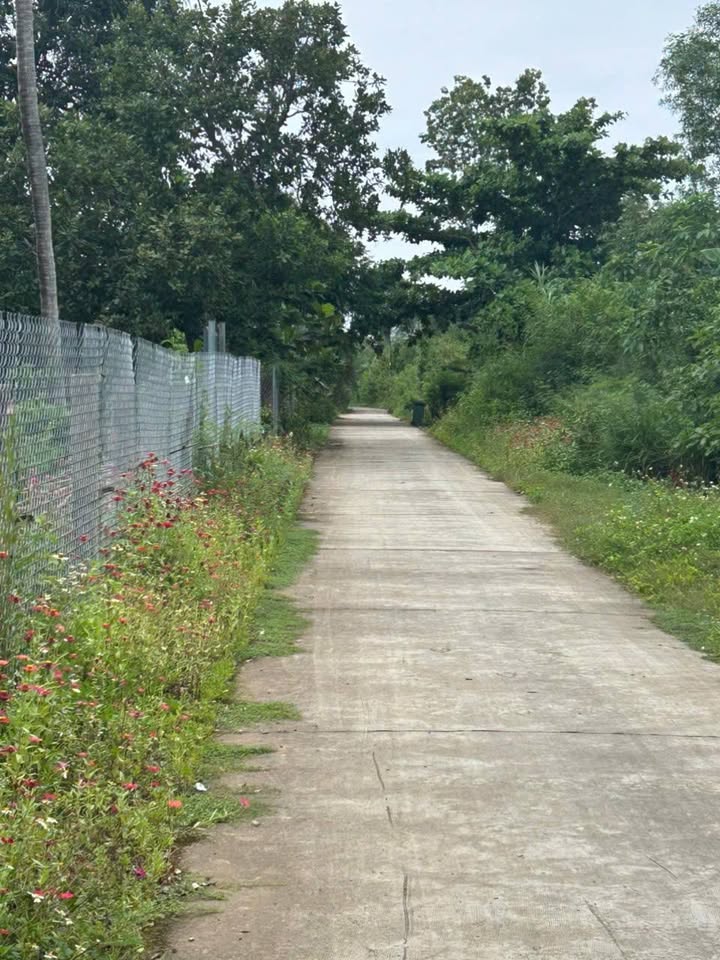 Đất sào 1100m² tại xã Phú Hoà - Giá chỉ 900 triệu, thương lượng ngay!