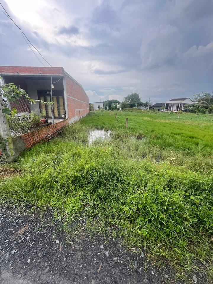 Đất thổ cư Mỹ Thạnh, Tân Trụ, Long An 157.5m² giá 525 triệu - Đầu tư sinh lời bền vững!