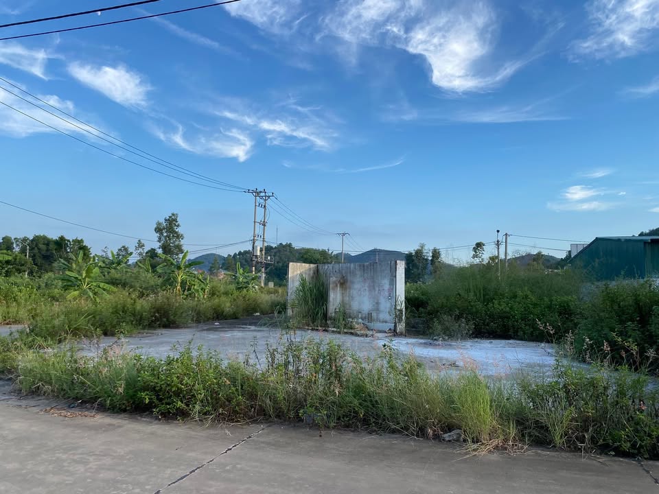 Đất nền thôn Tiền Phong, xã Nội Hoàng 118m² - Giá đầu tư hấp dẫn!