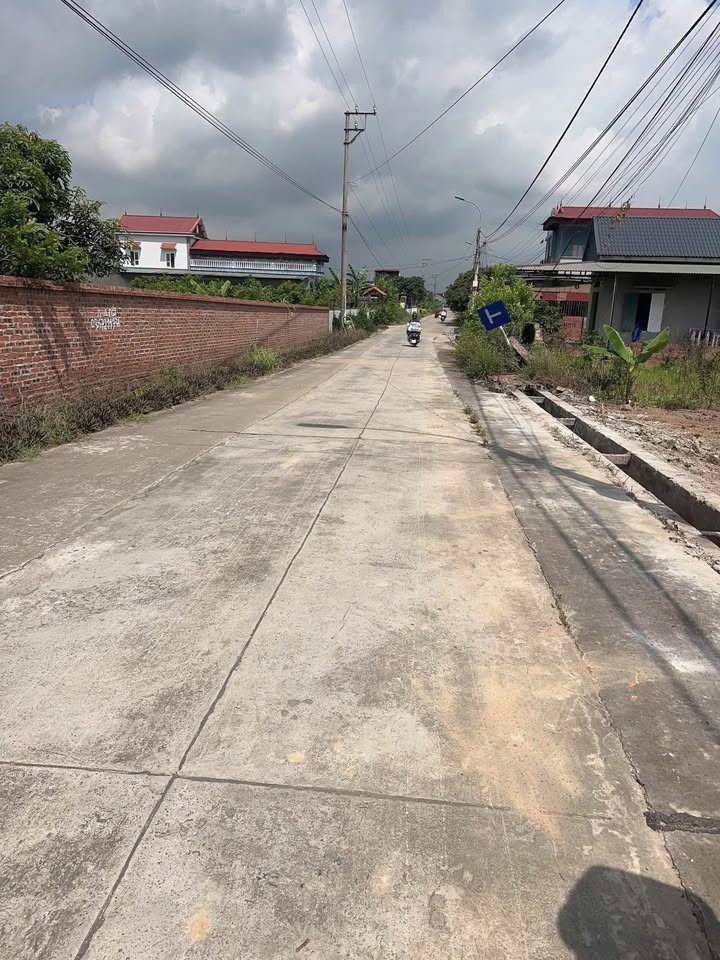 Đất nền trục chính Việt Dân - An Sinh 550m² chỉ 1 tỷ - Đầu tư sinh lời ngay!