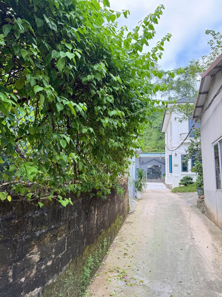 Nhà 2 tầng chính chủ tại phường Yên Bái, Lào Cai 168m² - Vị trí đắc địa, giá chỉ 2 tỷ!