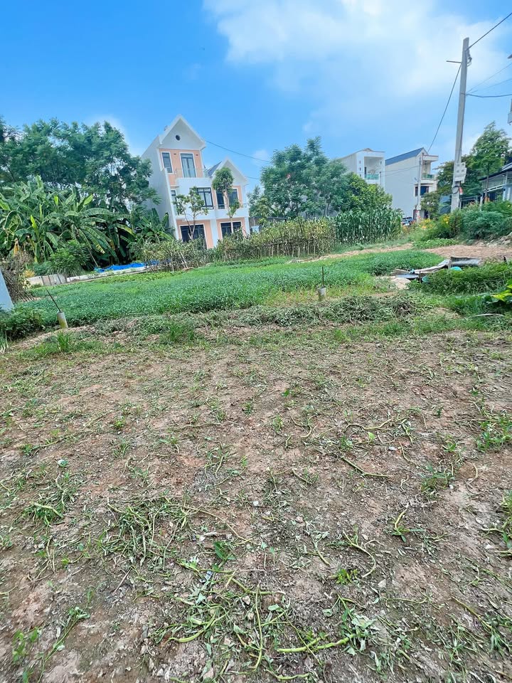 Đất liền kề Đè Then, Tân Dân, 125m² - Chính chủ, giá thương lượng hấp dẫn!