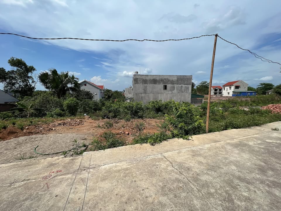 Đất nền chính chủ xã Thanh Đình 91.5m² giá 700 triệu - Cơ hội đầu tư hấp dẫn!