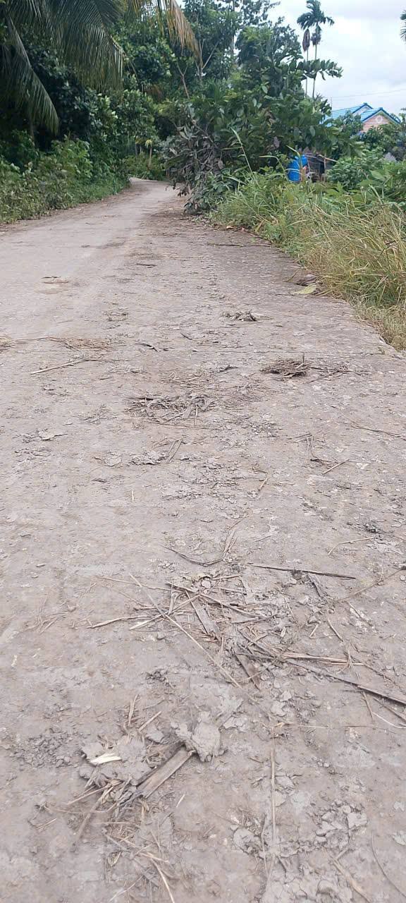 Đất Lúa Mặt Tiền Lộ 39m, Phú Đức, Long Phú 3000m² - Giá Chỉ 480 Triệu!