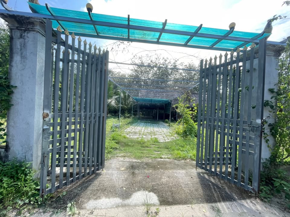 Nhà vườn Long Nguyên 1237m² giá 1.9 tỷ - Đầu tư lý tưởng gần Bến Cát!