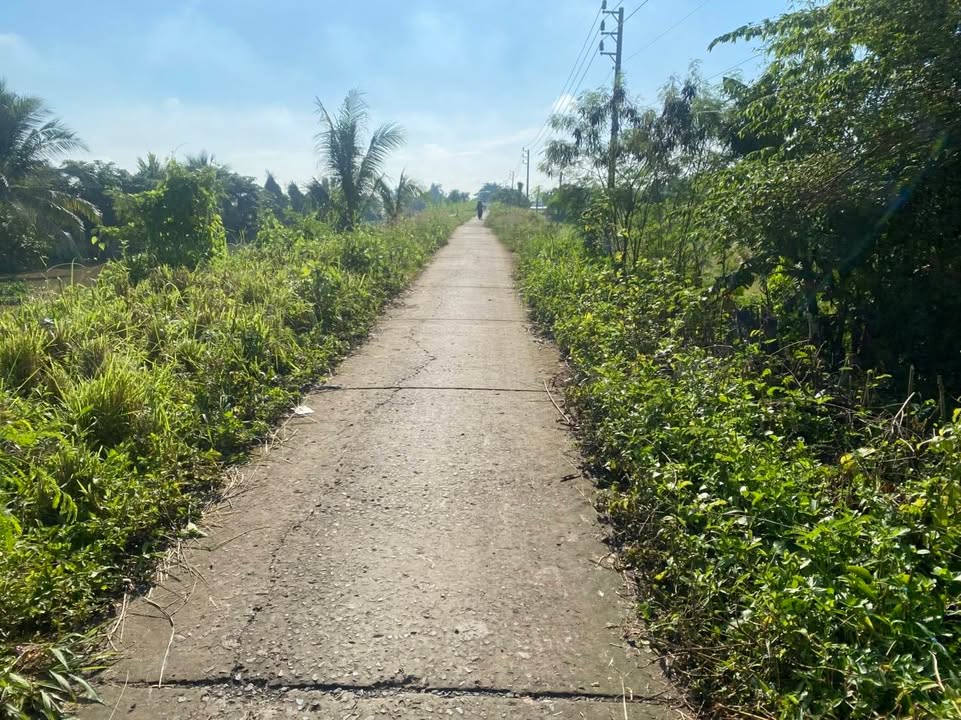 Đất nền Ấp Bưng Chông, Tài Văn, 145m² giá chỉ 175 triệu - Đầu tư sinh lời ngay!