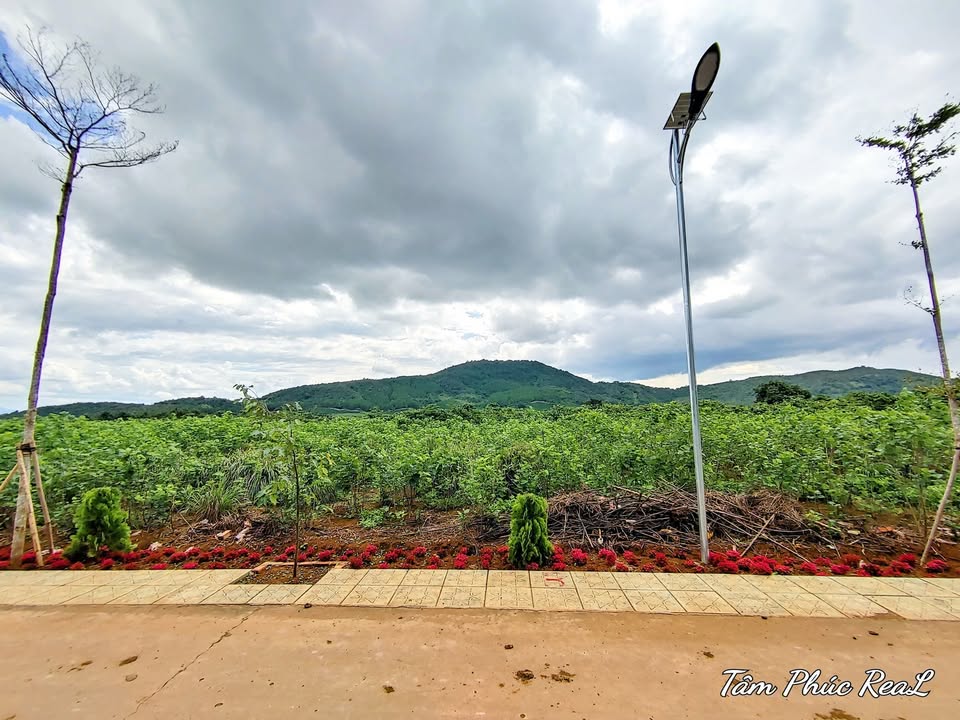 Đất nền thổ cư 75m² thôn An Ninh, Hiệp Thạnh, Lâm Đồng - Giá chỉ 1.18 tỷ!