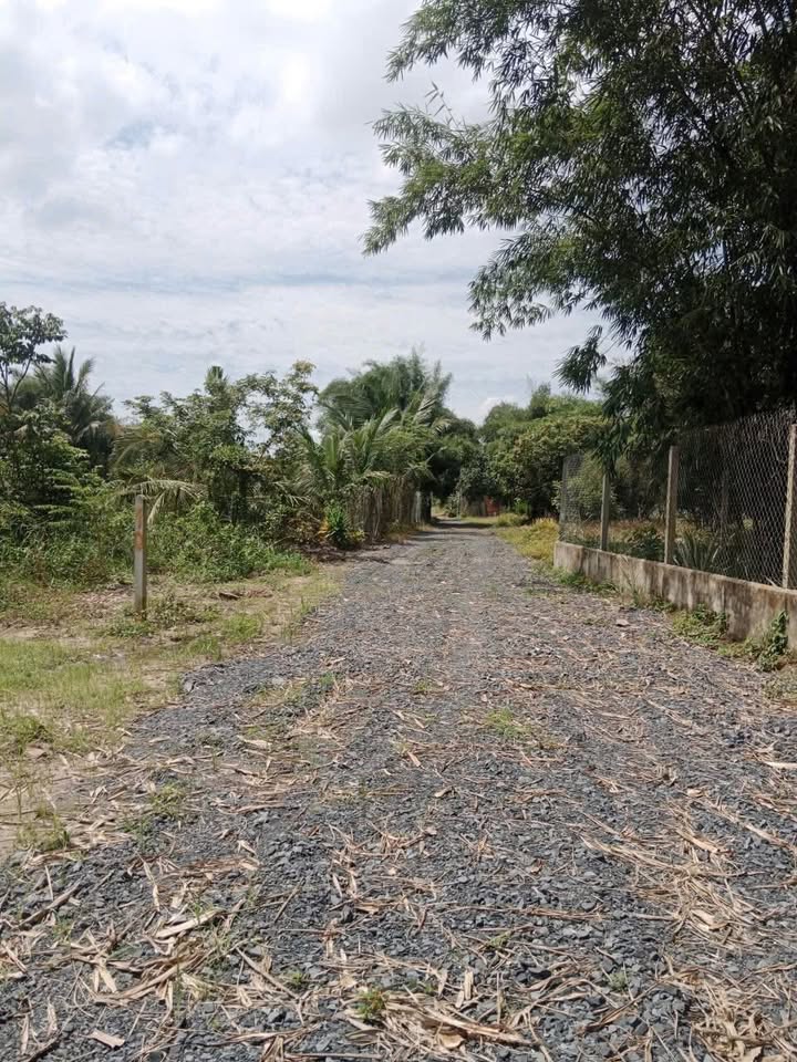 Đất nền Hòa Thành Tây Ninh 495m² giá chỉ 495 triệu - Cơ hội đầu tư tuyệt vời!