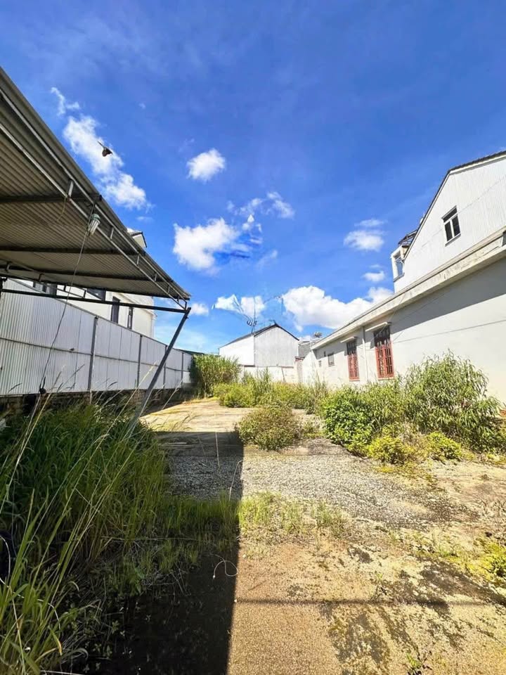 Đất mặt tiền Trần Đại Nghĩa Đà Lạt 406m² giá 15 tỷ - Đầu tư lý tưởng cho nghỉ dưỡng!