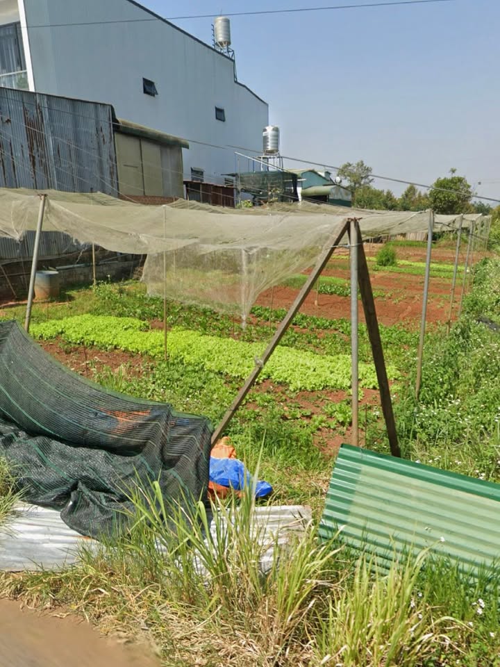 Đất thổ cư 142m² gần Scavi, Phan Đình Phùng, Bảo Lộc - Chỉ 4.3 tỷ!