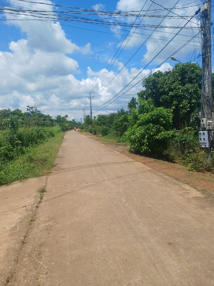 Đất nền Lâm San, Cẩm Mỹ 150m² giá 450 triệu - Cơ hội đầu tư vàng!