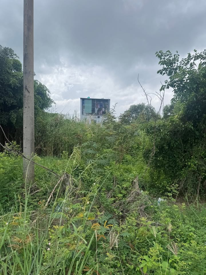 Đất nền Khu Đoàn Ca Cải Lương, Vĩnh Quang 80m² giá 580 triệu - Đầu tư sinh lời ngay!