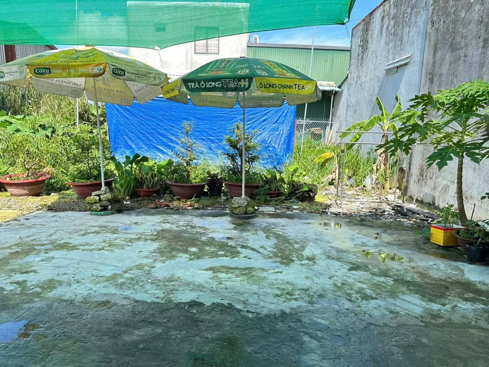 Đất cây lâu năm quận Bình Thủy, Cần Thơ 104.77m² giá 1.25 tỷ - Đầu tư sinh lời ngay!