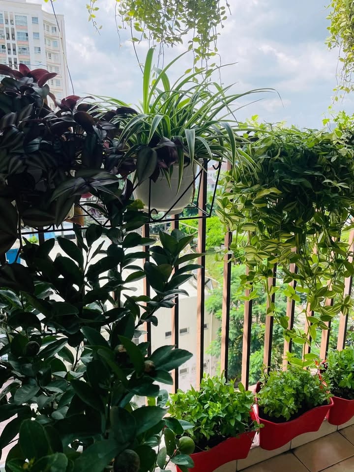 Căn hộ chung cư Mười Mẫu Quận 2 2PN giá 5.5 triệu - Nhà sạch, nhận ngay!