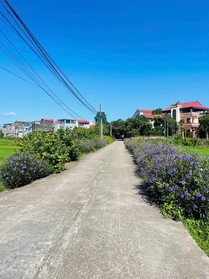 Đất nền phường Quan Triều 94m² giá 1.3 tỷ - Đầu tư sinh lời cao!