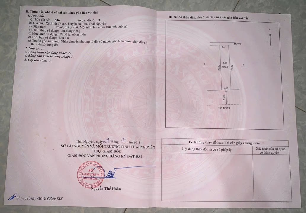 Bán đất khu quy hoạch xóm Trại, xã Đại Từ, 125m² - Đầu tư sinh lời ngay!