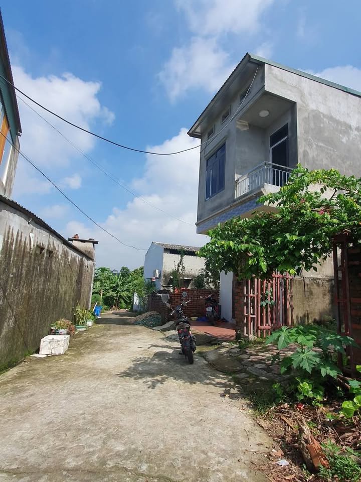 Đất nền phường Minh Phương, Việt Trì 83m² giá 1.3 tỷ - Mặt tiền 5.9m, vị trí đắc địa!