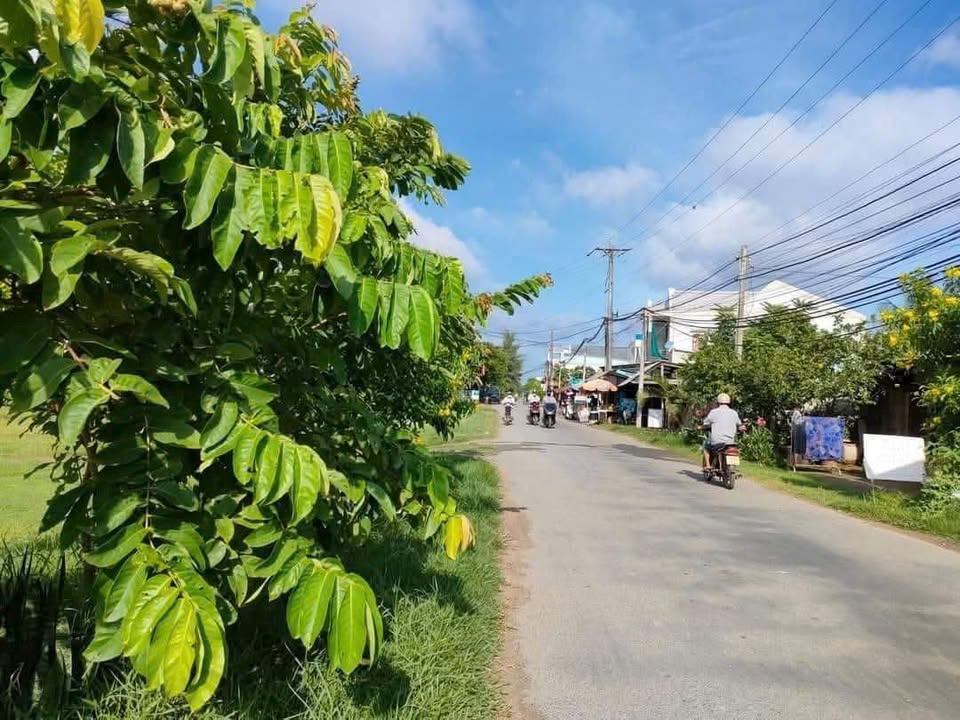 Đất Phước Long - Giồng Trôm 1526m² giá 1.29 tỷ - Cơ hội đầu tư không thể bỏ qua!